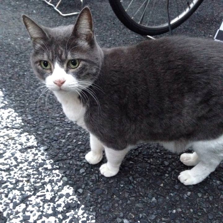 9f29df1b 5d58 48f7 bf5e 1bf71d8c7aaa 1508326924312