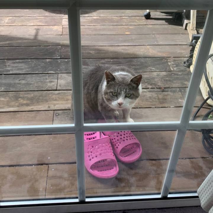 9f29e03f ce75 4fd5 932f cab52483cbe3 1589077400523