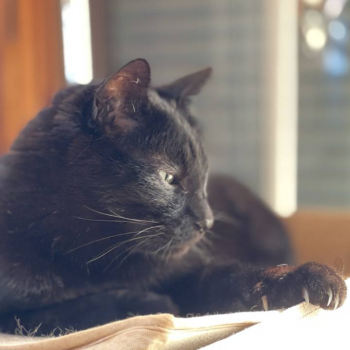 9f29fa48 ca95 4e21 b6c4 d5017b77cb9c 1618967862187