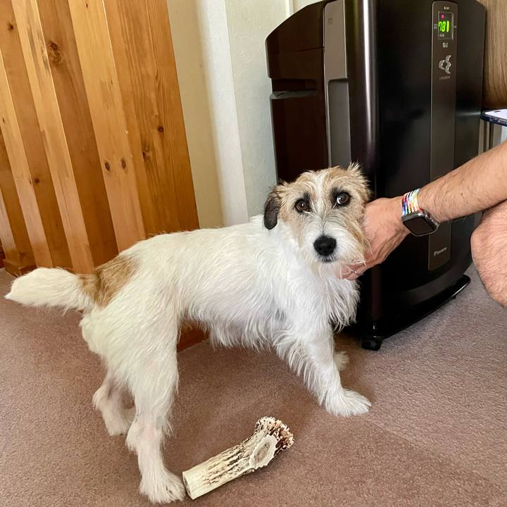 9f2a008d a30f 48cc b913 b15fbc0abe98 1690599372611