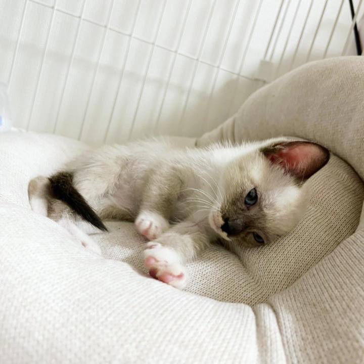 9f2a05b6 2838 483d b6aa 3c3b7d5eff2d 1662616766262