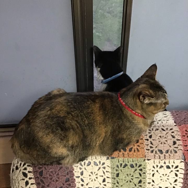 9f2a1490 b343 4d22 9716 55e56e0e3710 1680862430455