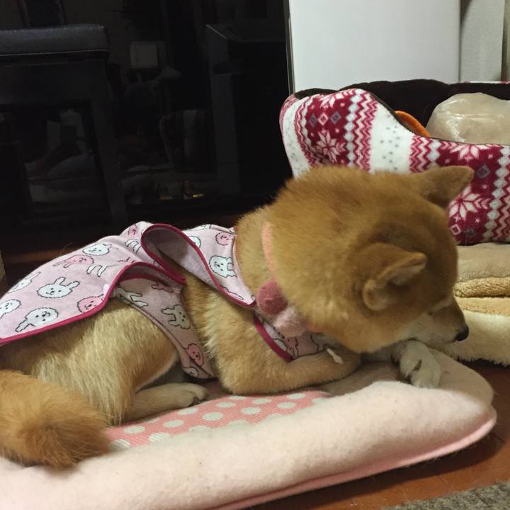 9f2a191c 42d7 42bf 93f3 4c33e1f71024 1523718077257