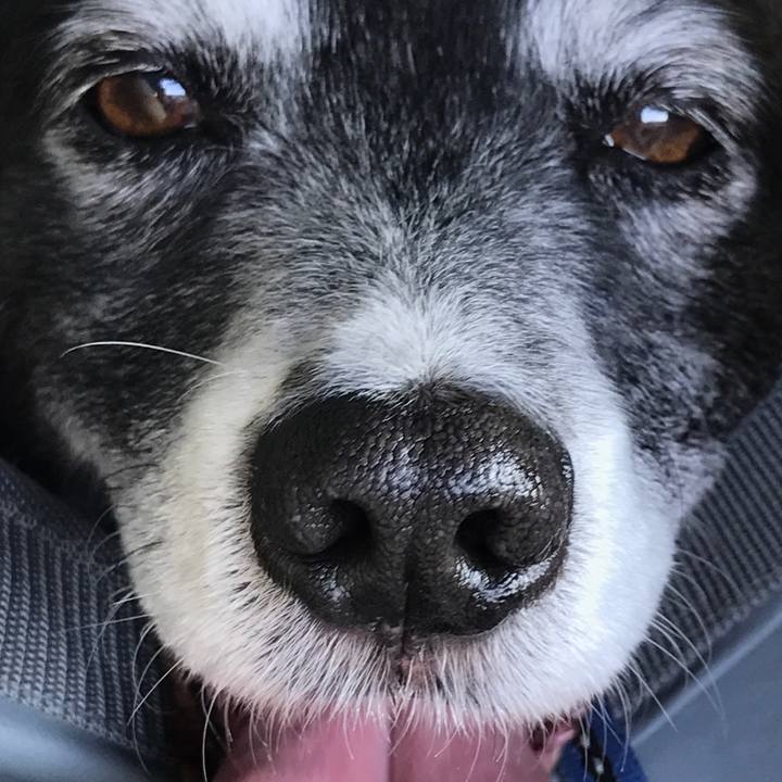 9f2ae521 a9ca 4331 881c 3fac3dbc0d5c 1523521375259