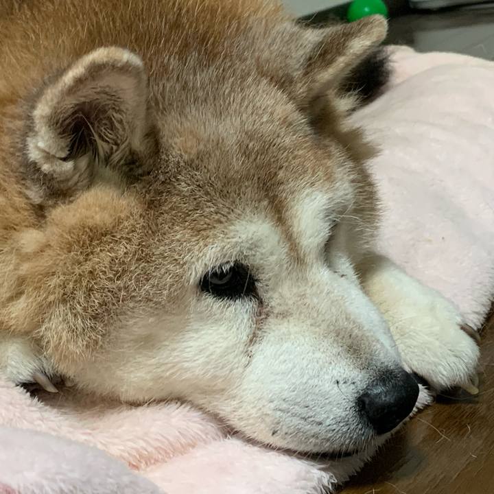 9f2ae69d 09e4 4c35 82de 30cb0912bc83 1637329783195