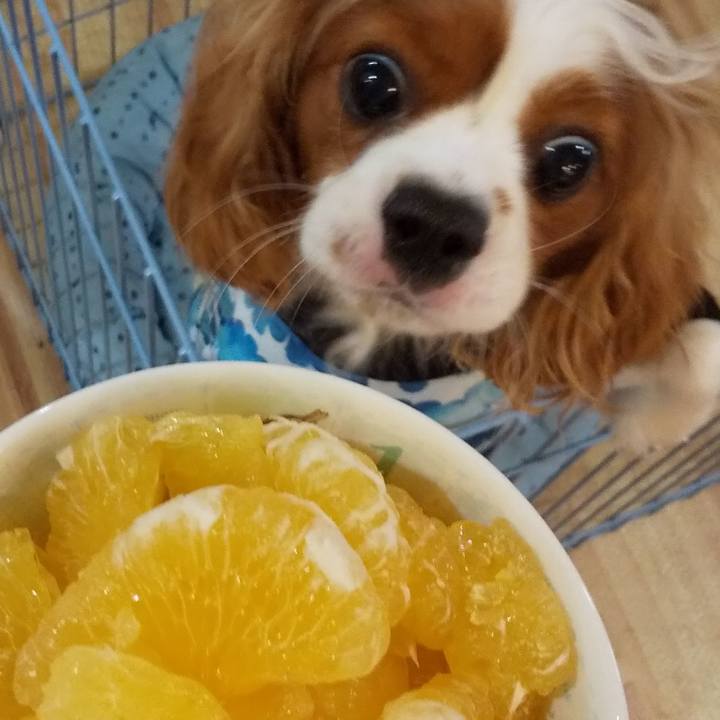 9f2b4f82 d568 4a0a a8d0 c2b75cd5da29 1592567965109