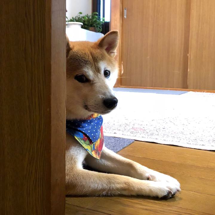 9f2b5efd e041 4f10 b4b6 860db7a613aa 1539589219838