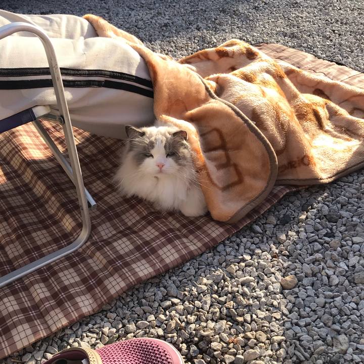 9f2b89fb e9a9 4da7 a8b1 09c0de1c3f63 1573604725098