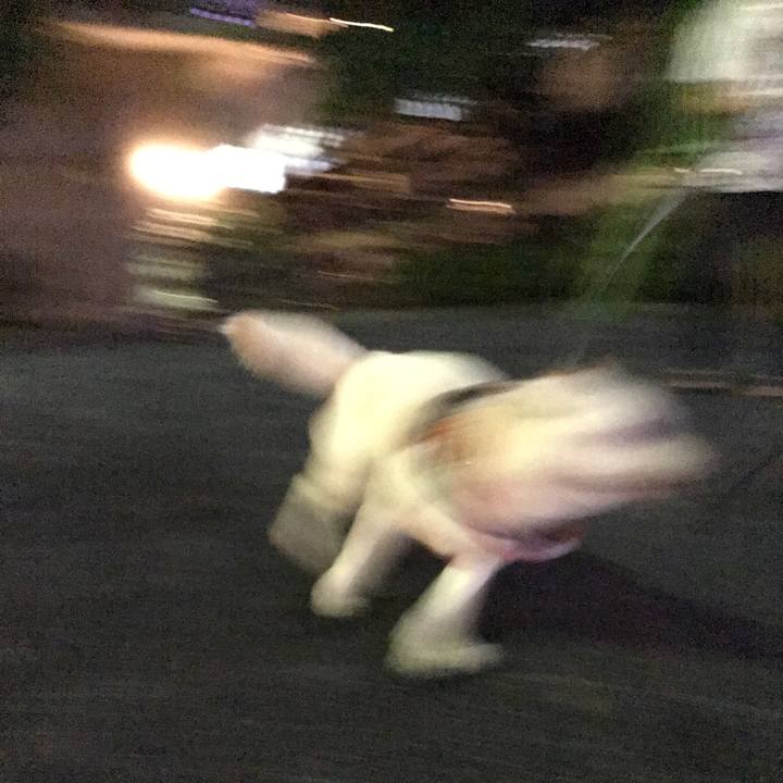 9f2b9439 730a 4788 88a5 7ee7e25a8c15 1562506969556