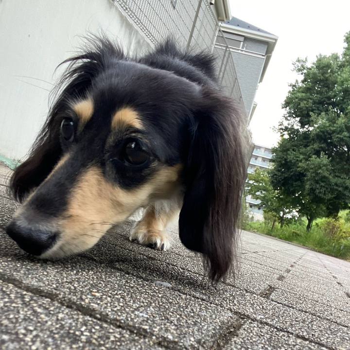 9f2b9aab c877 4295 8f1a a00f46d0c597 1754785542404