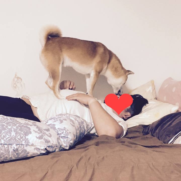 9f2bc13c b051 4ec3 b83e 0052b2ab9dd9 1509720650318