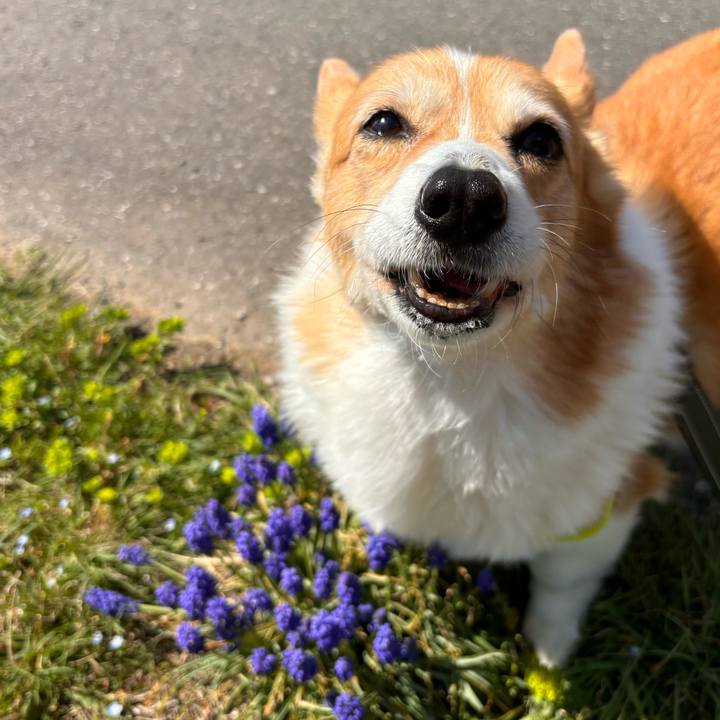 9f2bc9e5 88f2 4fe9 aa61 76820533c4fb 1774322060376