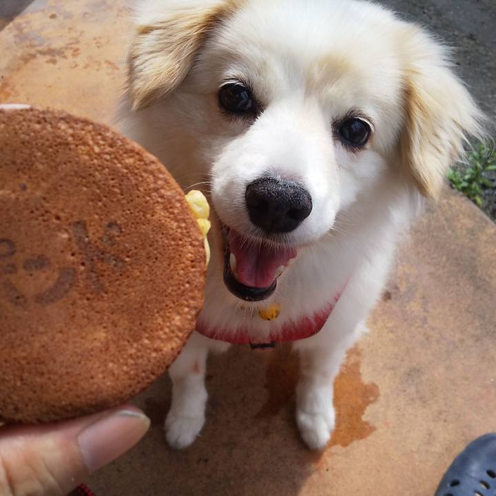 9f2bcc94 04c2 40f4 85a0 22a84c8772cd 1603770078668