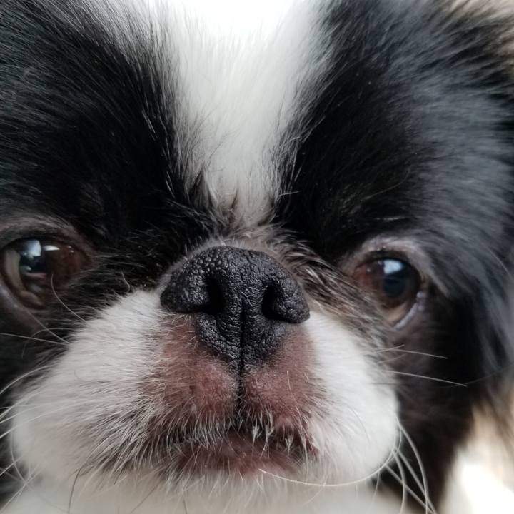 9f2be2e0 4574 468f 8fa2 61d69c58c180 1647666544688