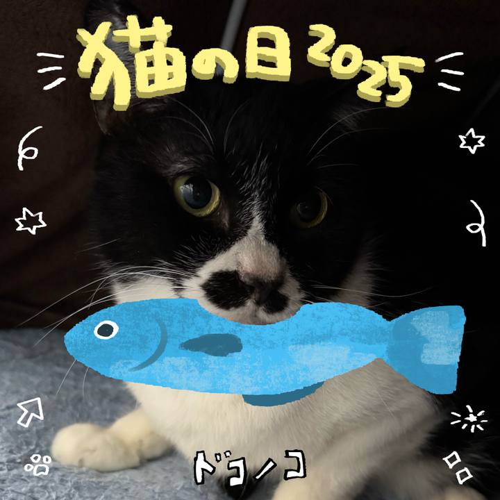 9f2be897 3736 4a05 bb1f 7cbb814ffdb6 1740128590300