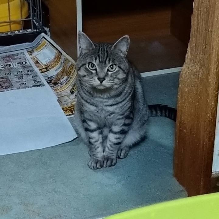 9f2c4387 c988 4619 b600 b803e16c3d62 1666797536587