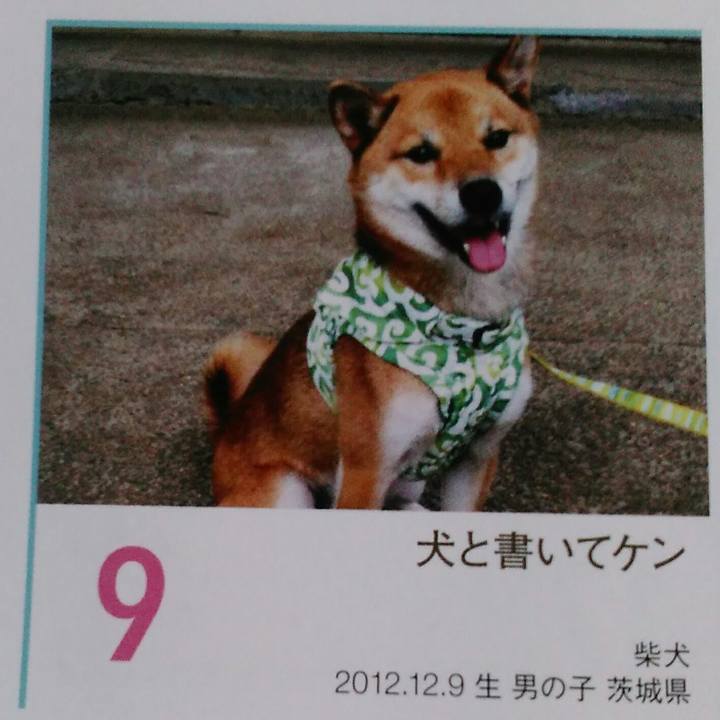 9f2c76a4 38d6 49f2 ad44 2a38612dd3a5 1512013990330