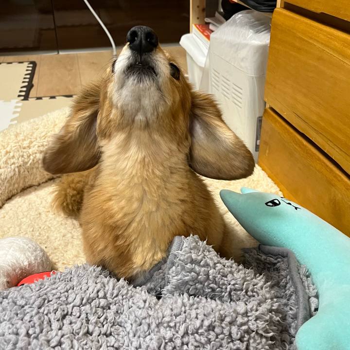 9f2c88e9 0f11 4afb 8b76 7272c680ac25 1644414367173