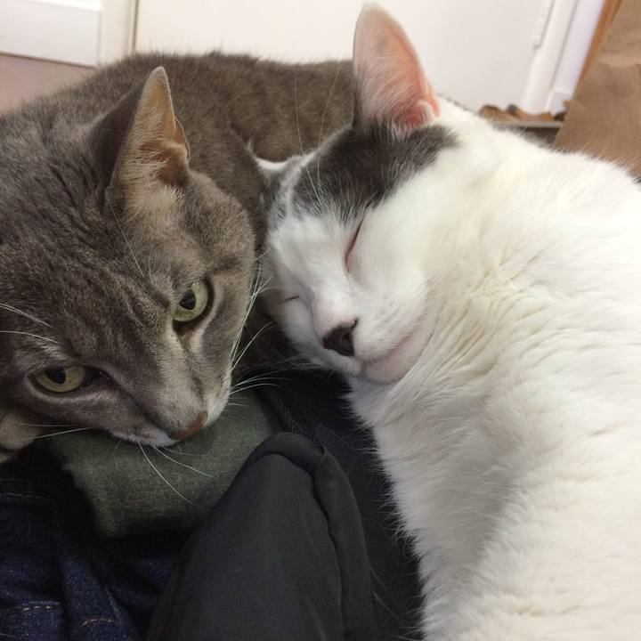 9f2ce407 07be 4f7a b0c3 f0ca71b884b2 1509927312995