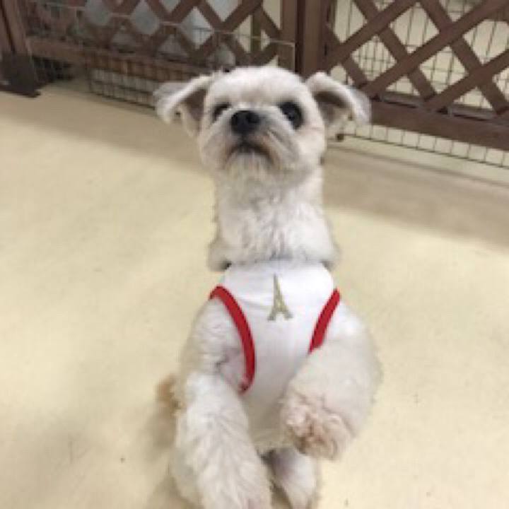 9f2ceb66 5585 4c3a b655 28b233bfc80b 1536662166422