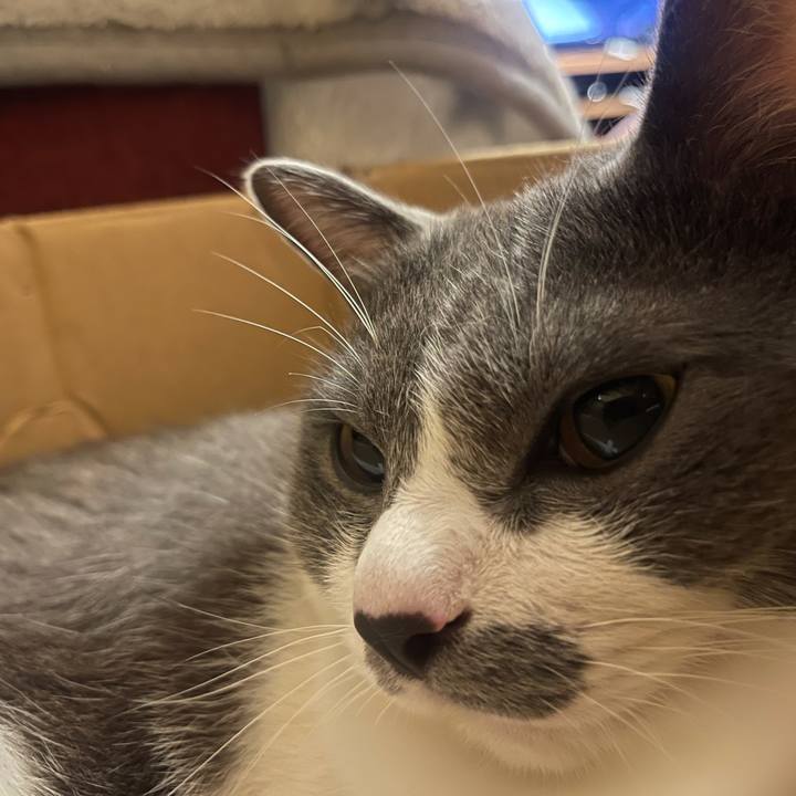 9f2cf483 7fbe 4a44 95a3 9f56f62076f8 1627642798858