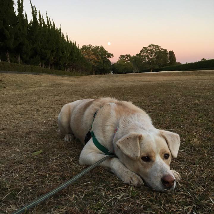 9f2cff06 cd97 4c93 9e8a d63c0cf99514 1514794715761