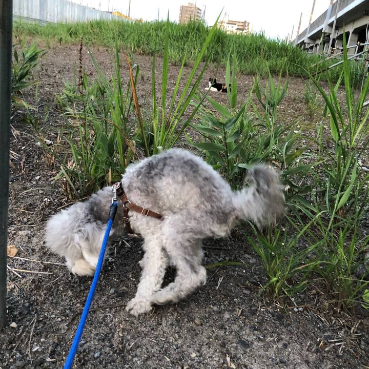 9f2d0a12 4c97 481a 80dc 6b993a600791 1626656905206