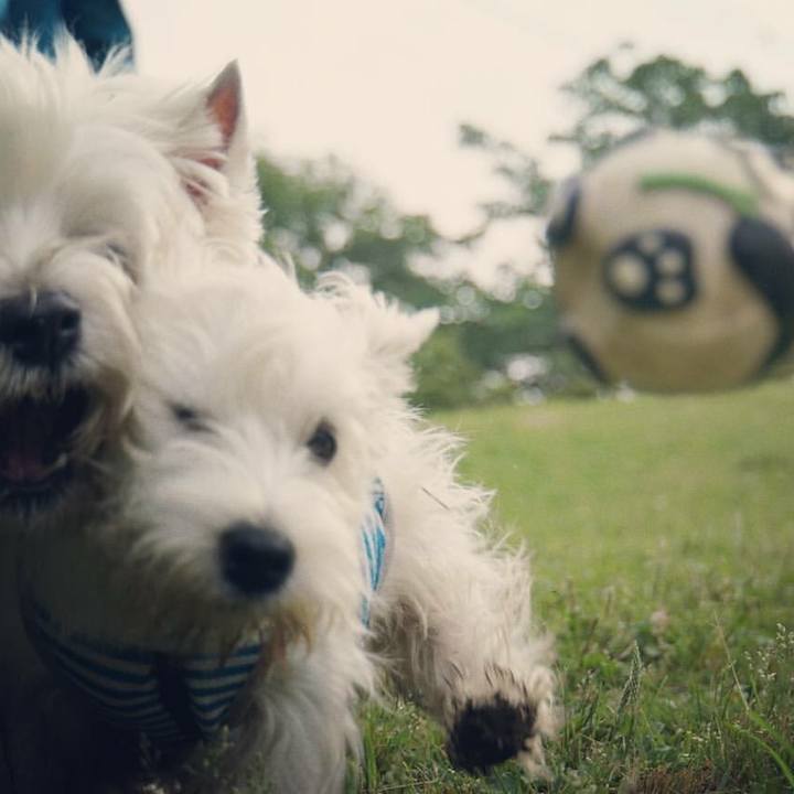 9f2d2ae6 6b8c 4aa0 9c38 39d218ce1137 1528167833126