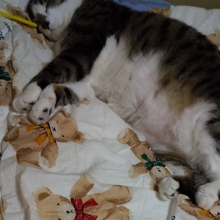 9f2d48b2 300e 451d b896 ebf06897d5c3 1652182513666