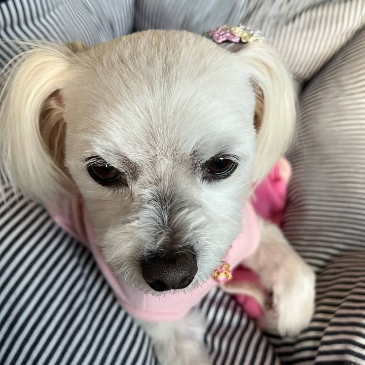 9f2d5be9 0a15 483a b8f9 71c244d11da7 1678785067110