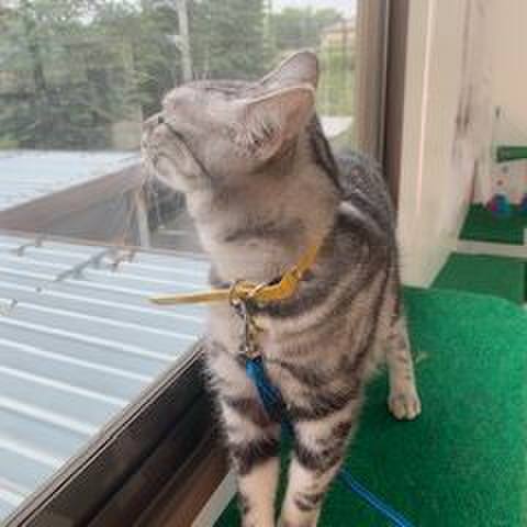 9f2d5eac c2fd 4bca a9cd a31e9e0895ce 1563422449338