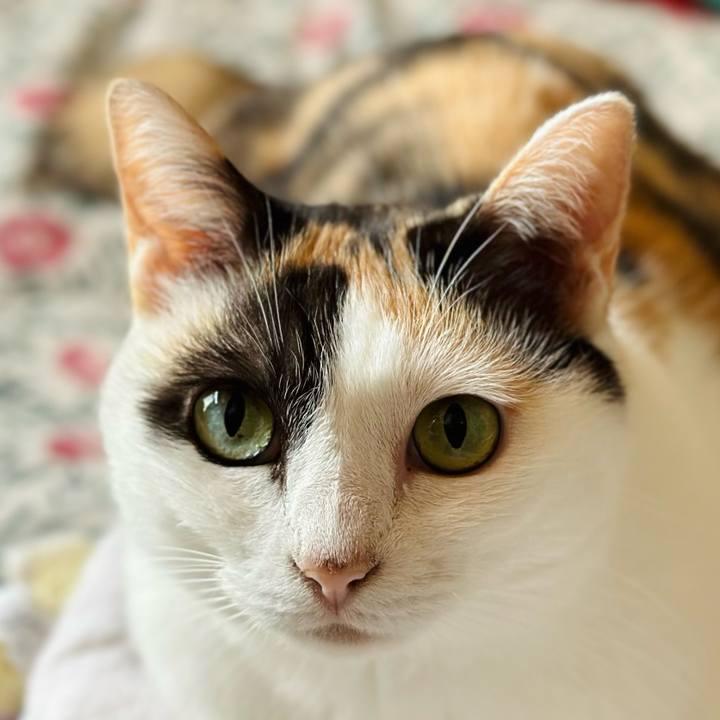 9f2d8002 9b8e 40af 97d1 fabff4448bd8 1695086278285