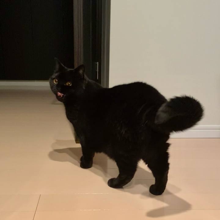 9f2d8dd9 42c4 40fb a4b7 4acc5d166df8 1686921264136