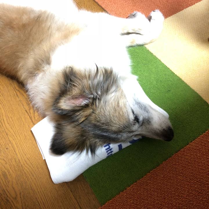 9f2d9f92 edf1 48f4 a5fa e879e9158c46 1532359665314