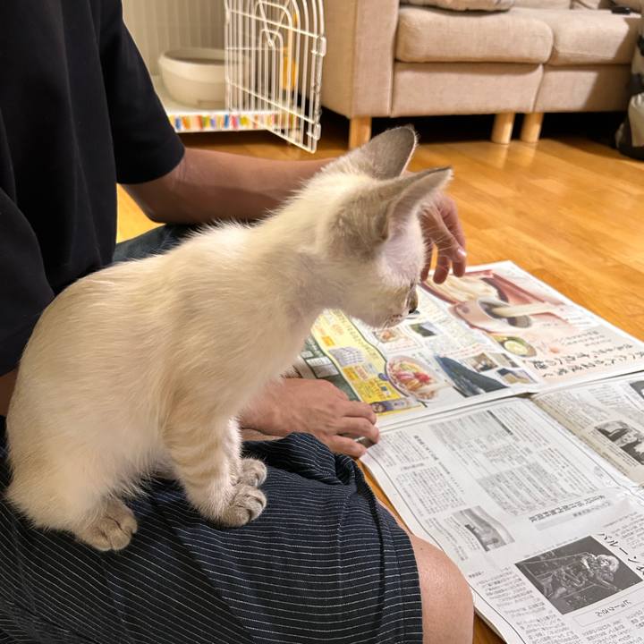 9f2de51a 3f1f 4e4e b816 19be964770e8 1721692543475