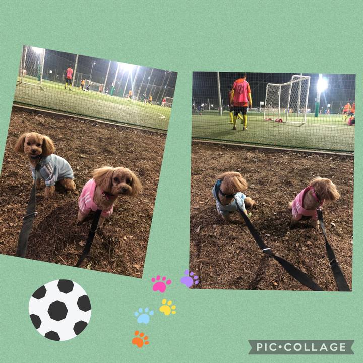 9f2dec6e 88c0 4aac ad06 baf82783ea60 1675590628679