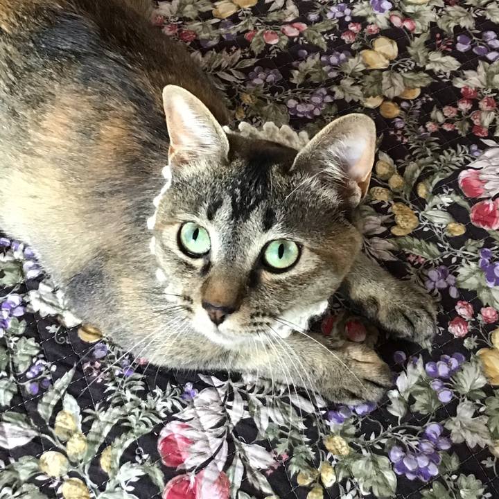 9f2e0270 2fa8 47b6 ab54 c22b888ffeb3 1592712531301