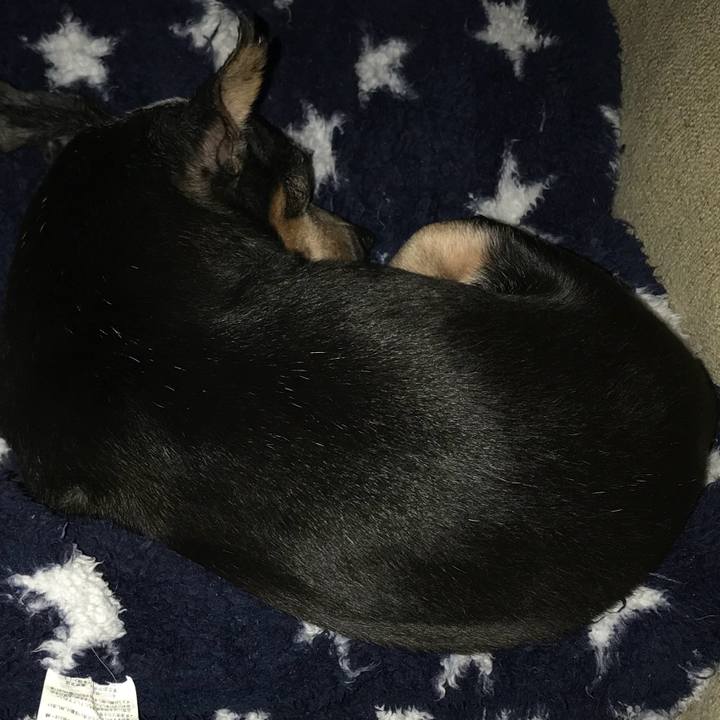 9f2e031c 03b2 4f08 8708 6e3762852691 1571416865871