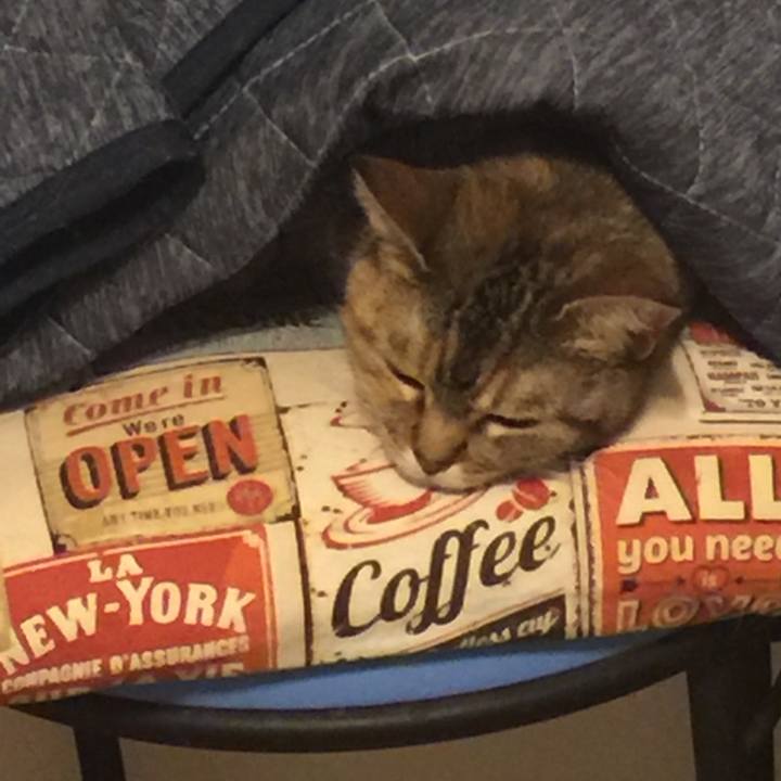 9f2e0bbc b45d 4b74 a1b2 02f2dc040633 1559826293320