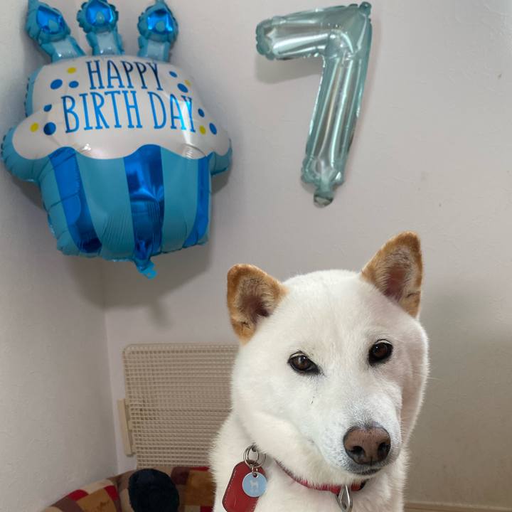 9f2e1924 8696 482b a032 a16e9b8b3693 1689423967781