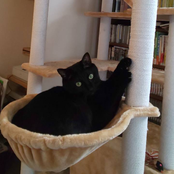 9f2e1a68 ad97 40c9 af9b 77c80f271a50 1572669644402