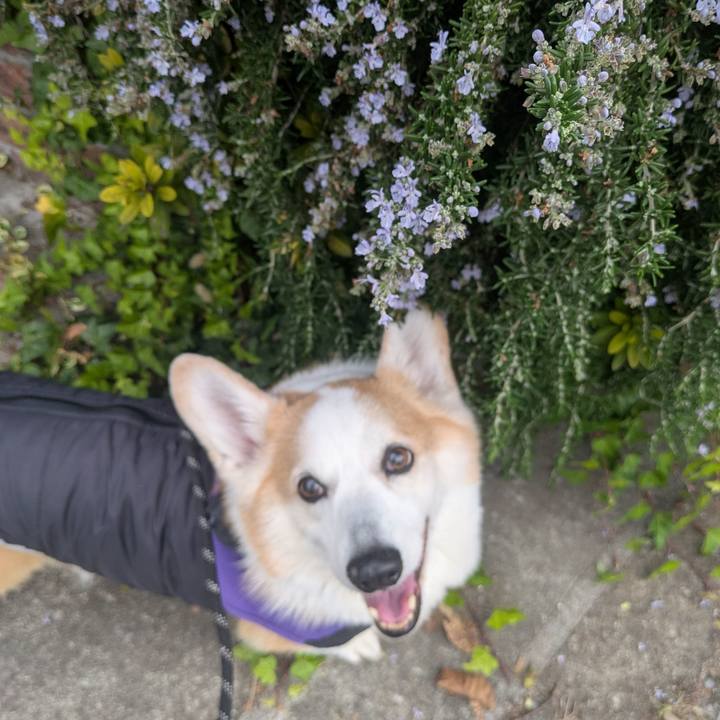 9f2ec7a1 6e5b 41c6 8983 09a698ac78b4 1763427108892