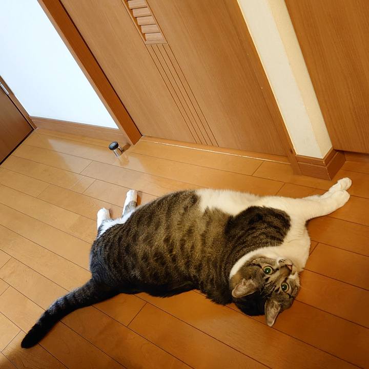 9f2eda03 279d 4560 8fbd 60b82e203dba 1638366346143