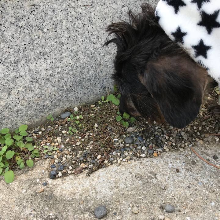 9f2eea33 9c7f 4cc9 991f bd1d3bdfa907 1511077555332