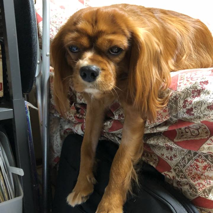 9f2f4850 d903 4ba5 a43a ad6862bb30bb 1533506812022