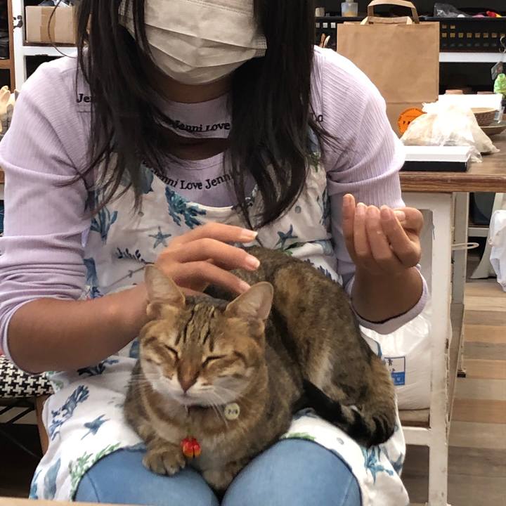 9f2f8829 a237 4f6e be93 2116e56c30ea 1669449424317