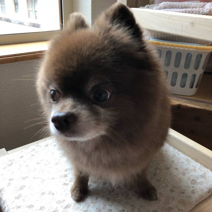 9f2fbbcf fc1b 402f b148 e5a0d80f97c8 1571055056810