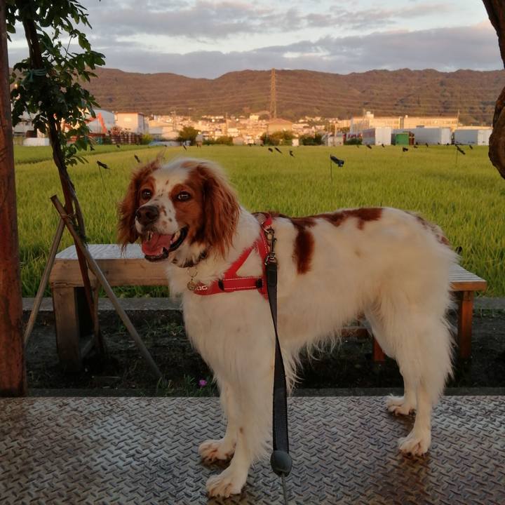 9f2fbf0c ddb2 4913 a81b e64afdddfad5 1568632892286