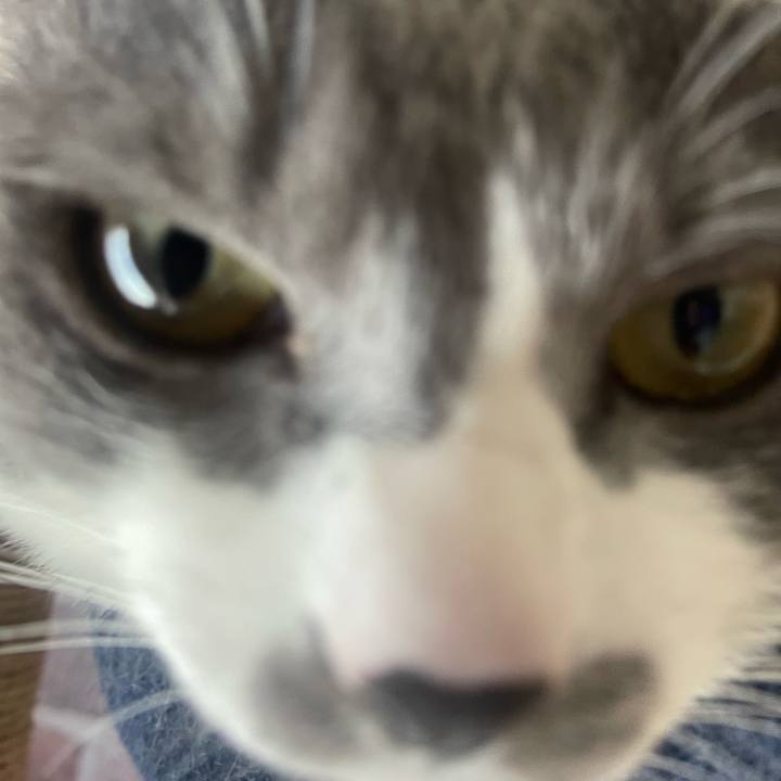 9f2fc532 4fe8 4309 a339 25b6f3f42169 1710978943029