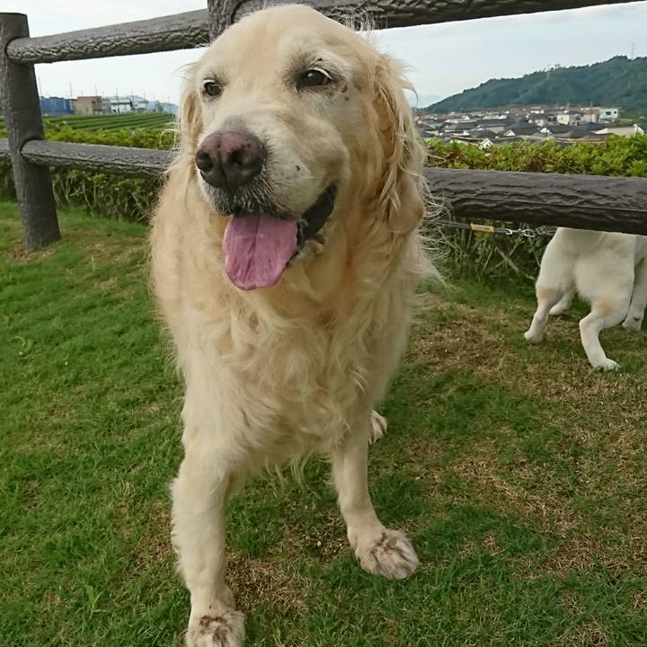 9f2fea0f 5fac 4ca5 82d5 975b7ea1eecf 1547001099251